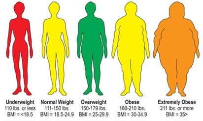 bmi : ساده ترین شاخص تناسب اندام