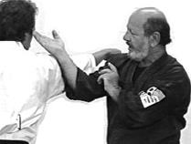 تاریخچه kenpo karate